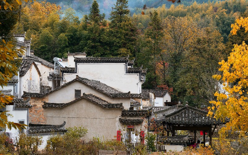 Tachuan Village