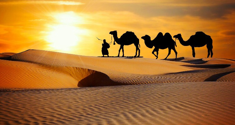 Silk Road Tour