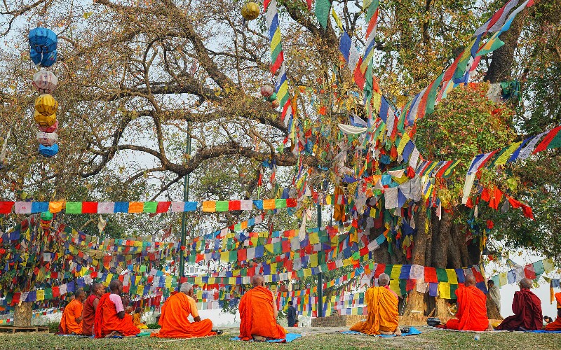  Buddha's Sermon Festival 