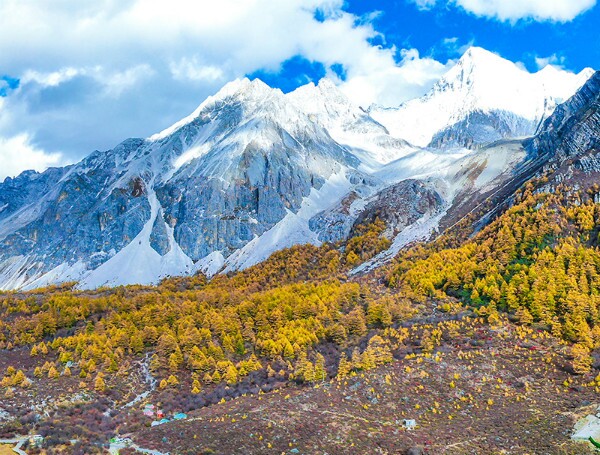 mountain with yellow trees