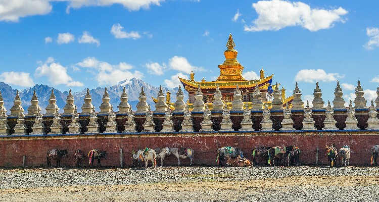 the golden pagoda of Tagong Lamasery