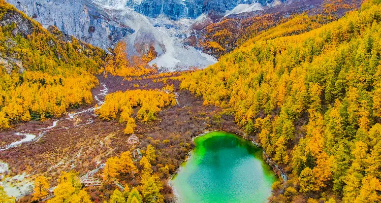 the green lake and forest