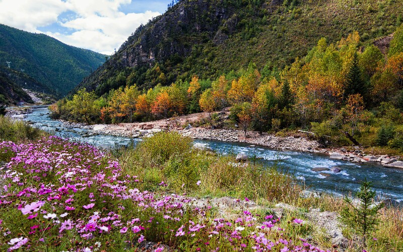 Daocheng Weather - Best Time to Visit Daocheng