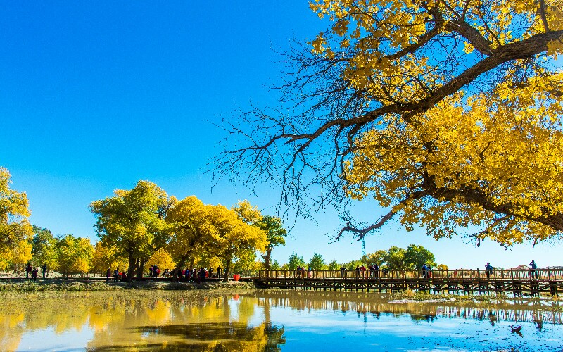 7 Places to Visit in China in Autumn, Fall Destinations