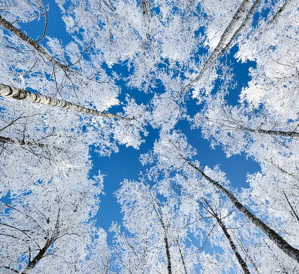 7-Day Harbin, China Snow Town, and Changbai Mountain Tour