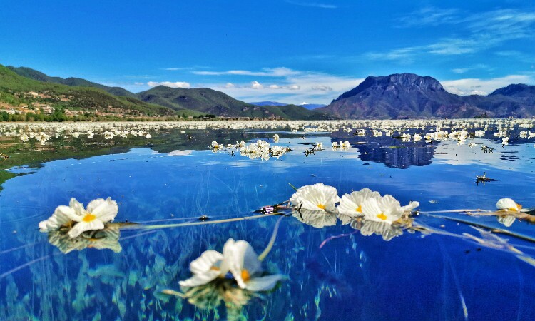Lugu Lake
