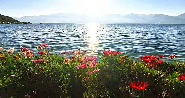 erhai lake