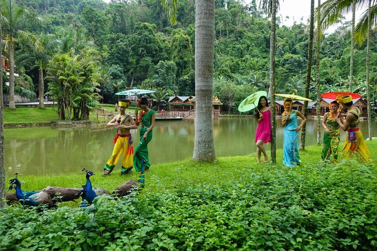 Cultura Dai e paesaggio tropicale di Xishuangbanna