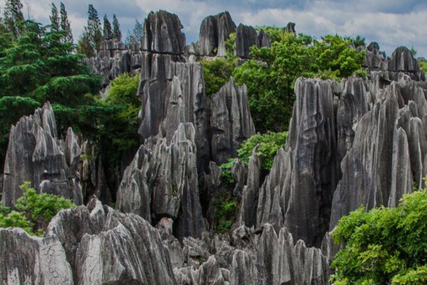 stone forest