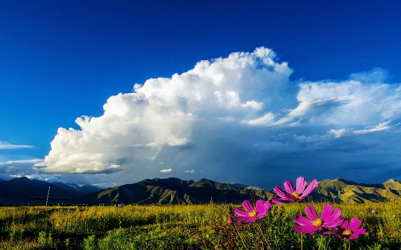 How Tibetans Celebrate Tibetan New Year (Losar)