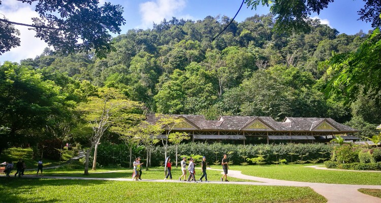 Wild Elephant Valley