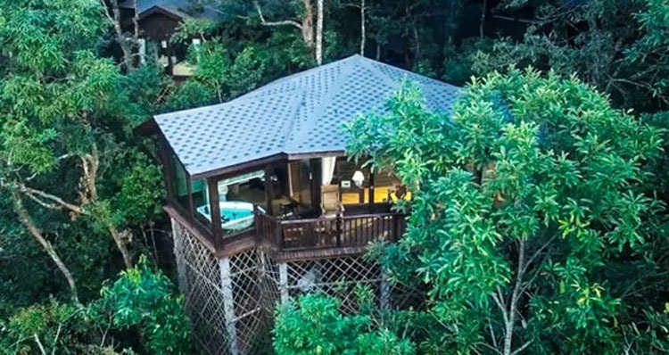 Tree House in Xishuangbanna