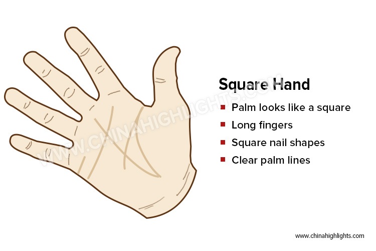 The Square Hand in Palm Reading