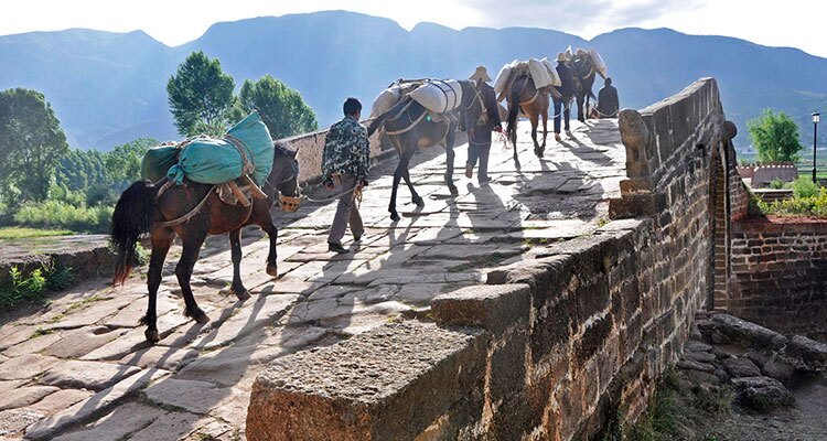 the horses crassing the bridge