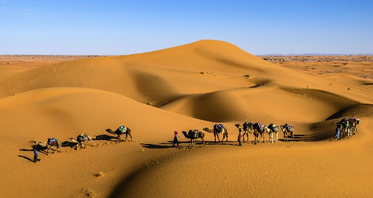 Inner Mongolia Desert