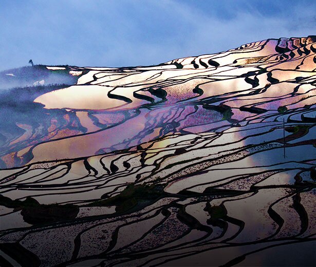 yuanyang terraced fields
