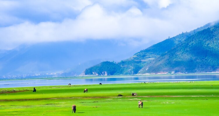 Napa Lake in Shangri-La