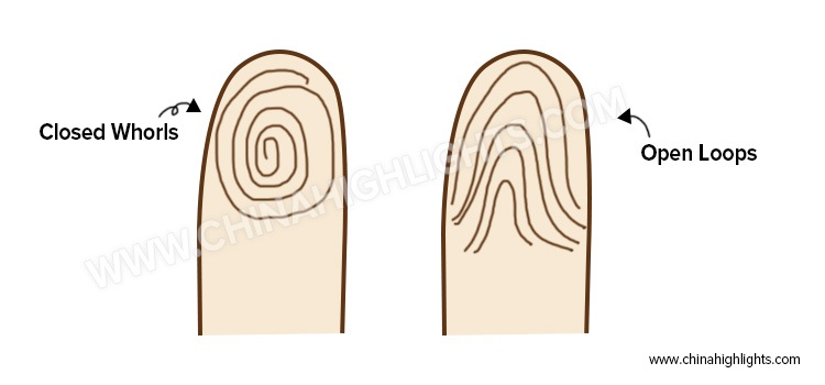 Palm Reading