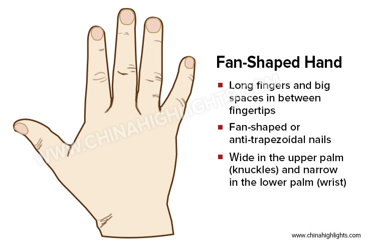 The Fan-Shaped Hand in Palm Reading