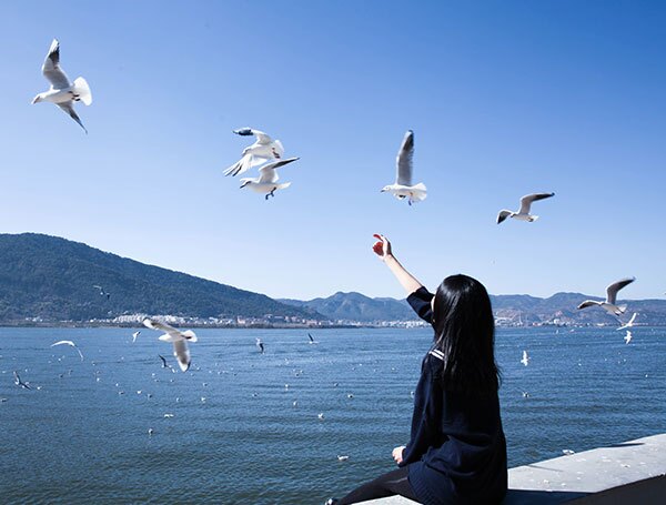 feeding birds at Dianchi Lake