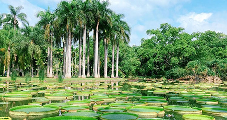 How To Plan A Trip To Xishuangbanna: Itinerary Ideas And Planning Tips