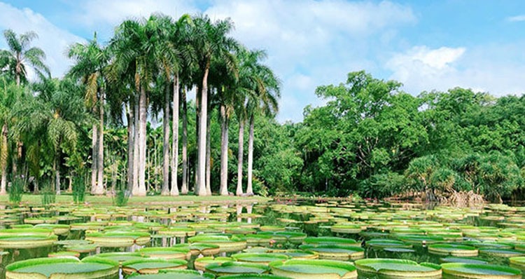 Xishuangbanna Tropical Botanical Garden