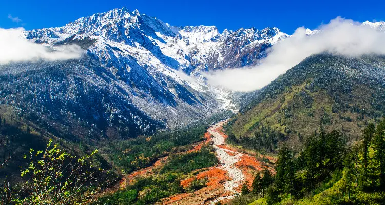 Snow in Hailuogou