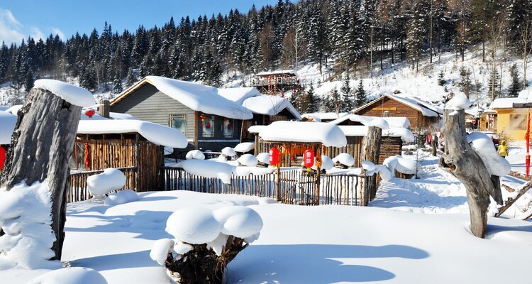 Harbin China's Snow Town