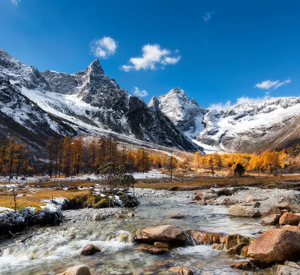 5-Day Chengdu and Bipenggou Tour