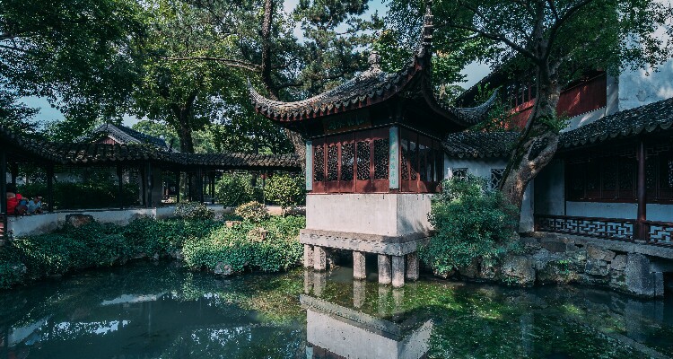Bonsai Garden of Tiger Hill