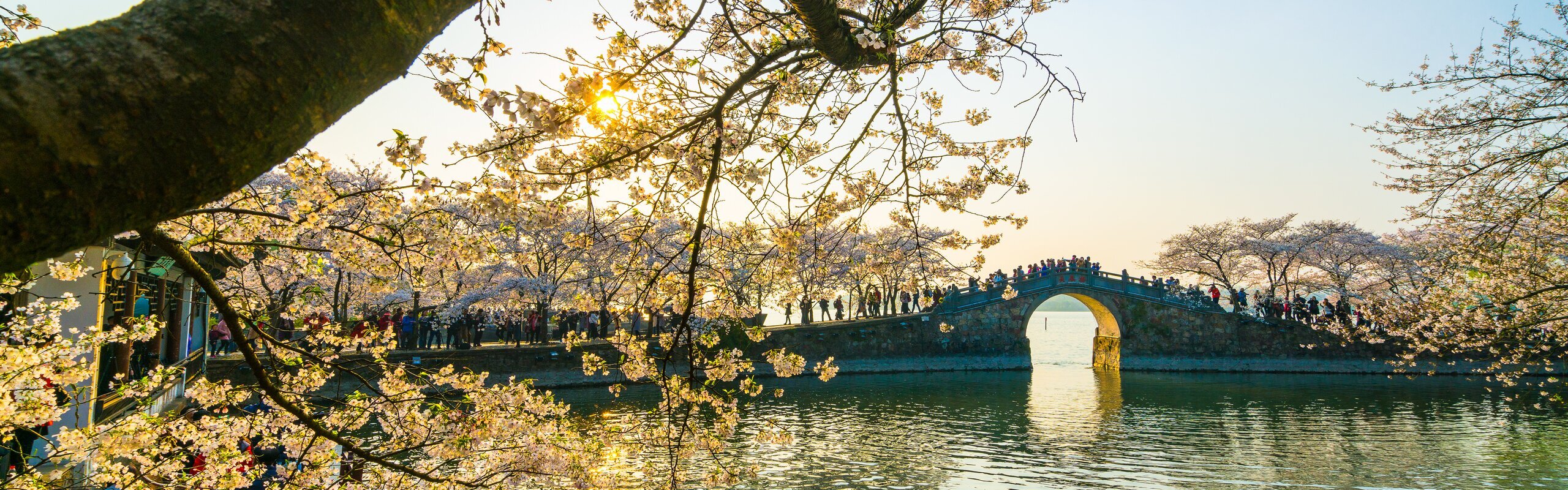 Тур в китае весной 2026