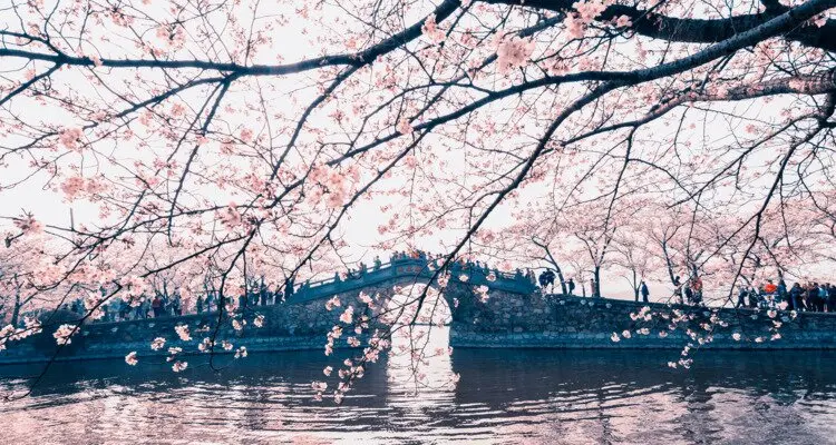 Yuantouzhu Scenic Area