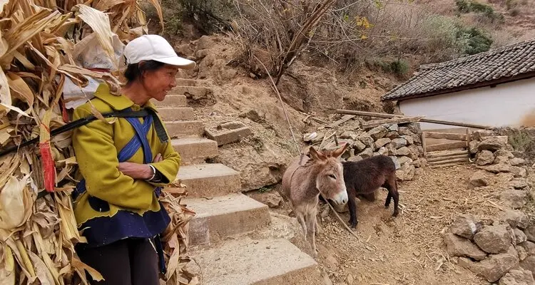 Visit a Castle on the Cliff — Baoshan Stone Village