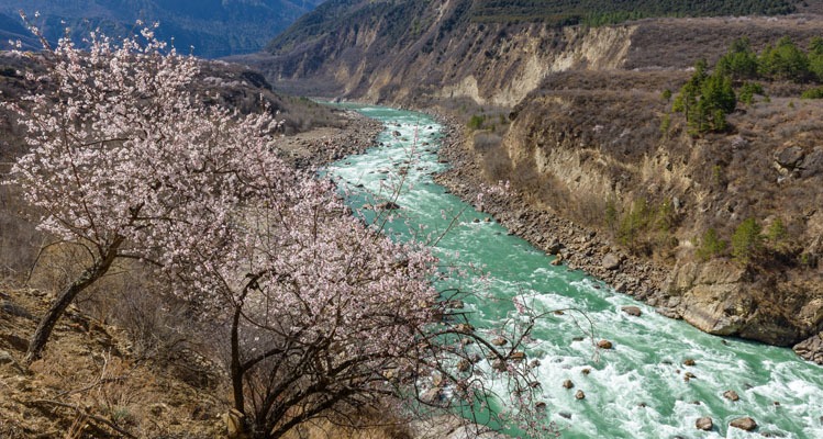 Yarlung Tsangpo Canyon