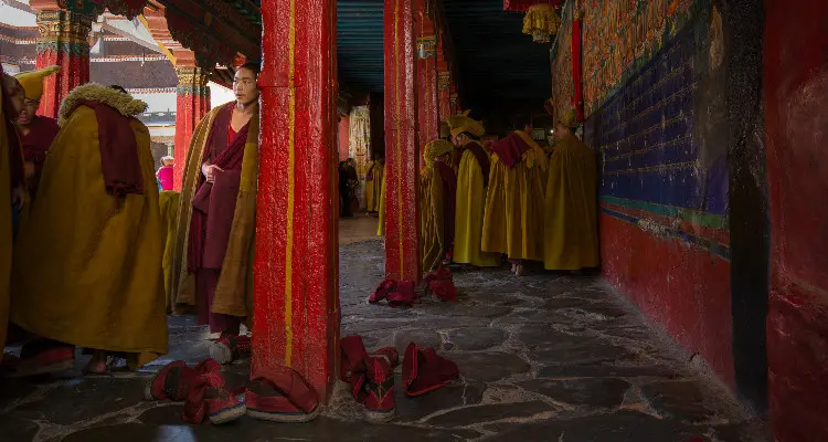 monks with yellow dress for afternoon class