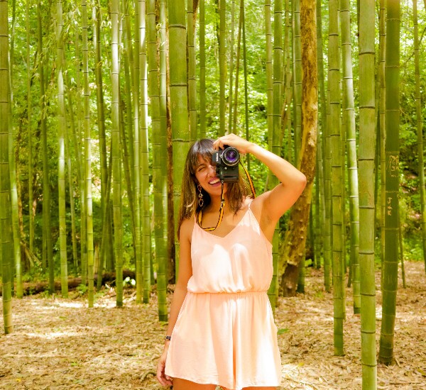 Anji Bamboo Forest