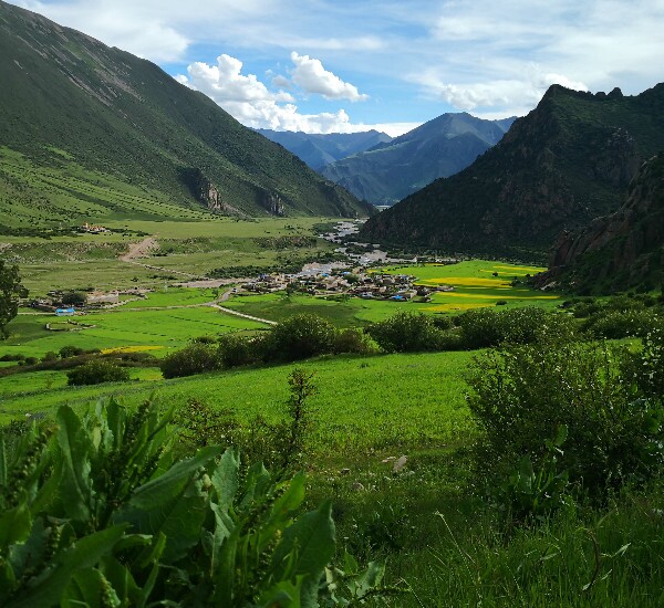 Tibetan village in a green valley
