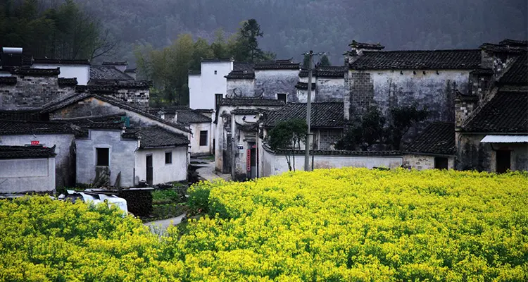 Huangshan's village in spring