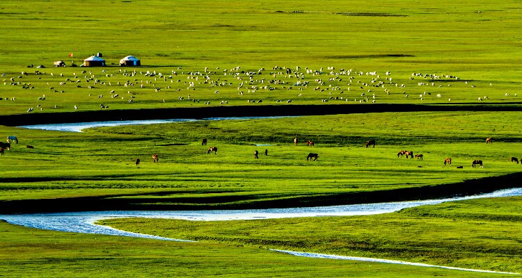 Hulunbuir Grassland