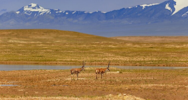 scenery along the Qinghai–Tibet Railway