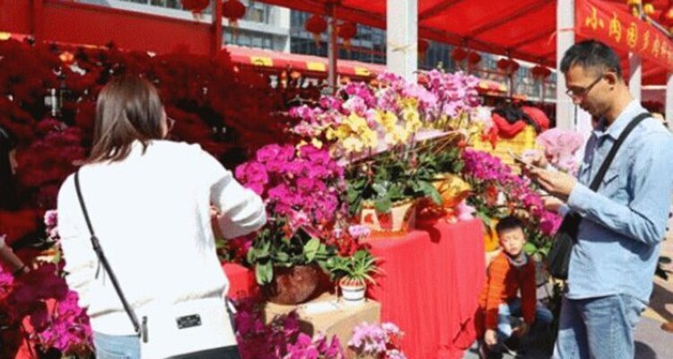 Guangzhou flower markets