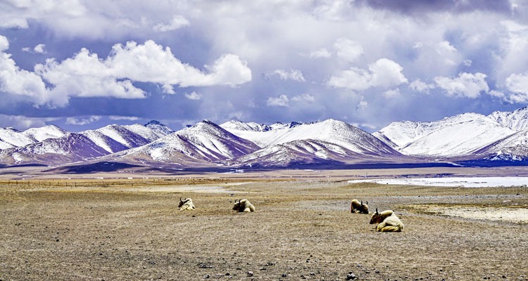 Tanggula Mountains