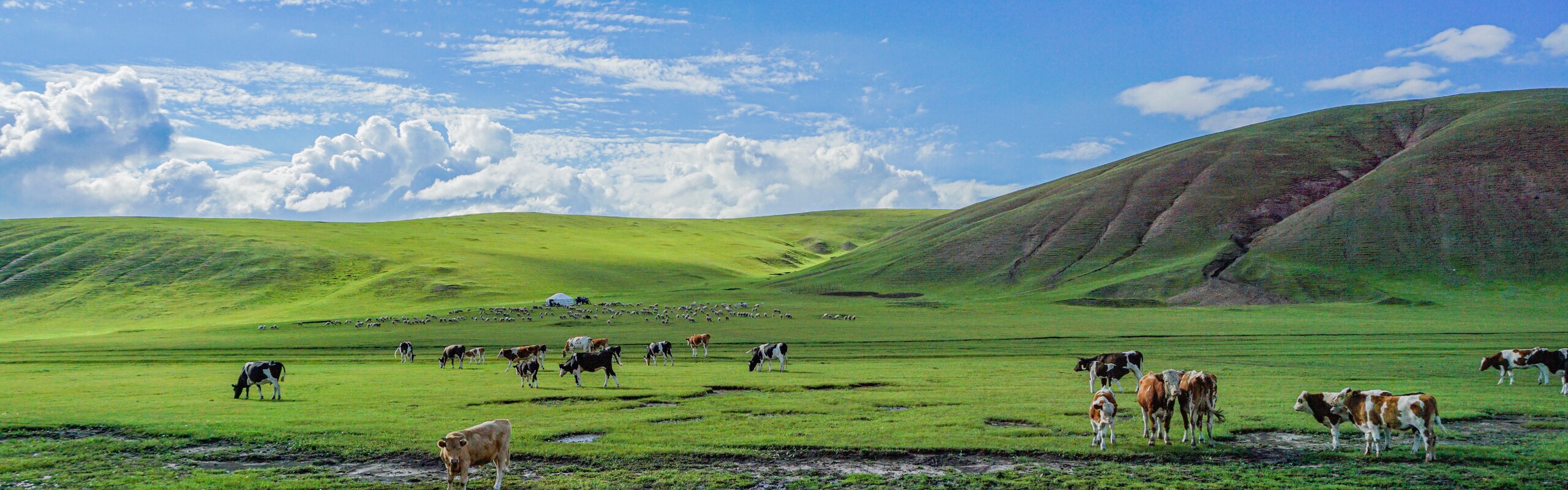 14 Top Things to Do in Inner Mongolia