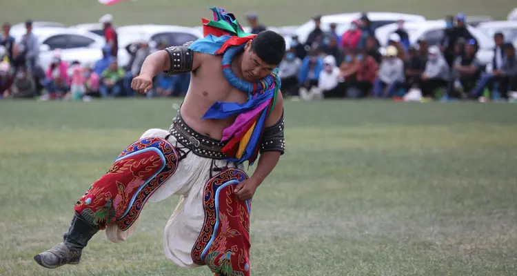 A Mongolian Wrestler at Naadam Festival