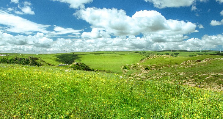 Huitengxile Grassland