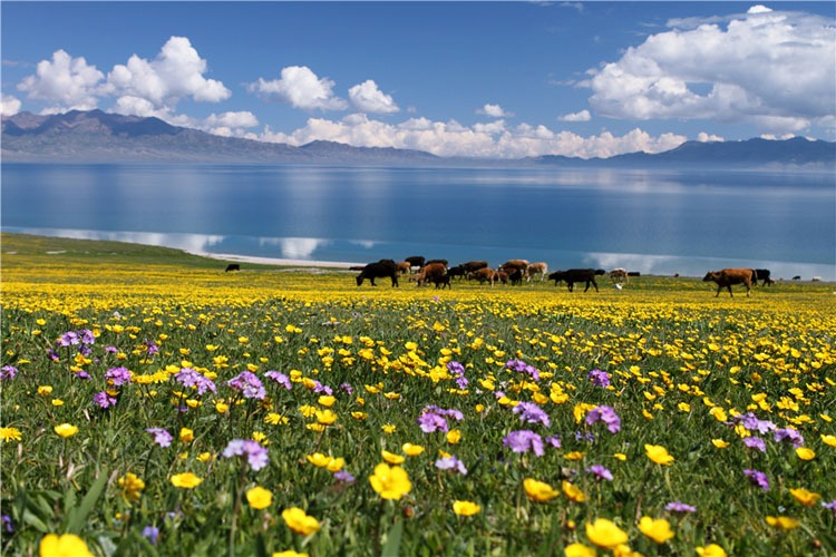 Xinjiang in summer