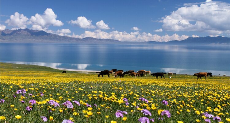 Sayram Lake