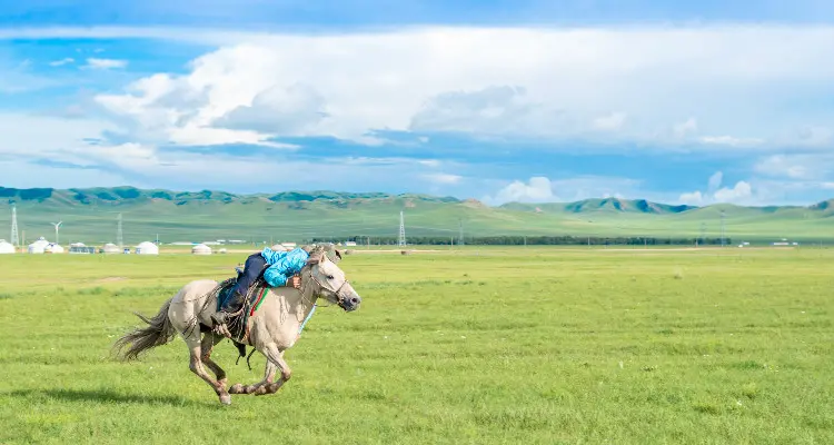 Horse Riding on Inner Mongolian Grassland