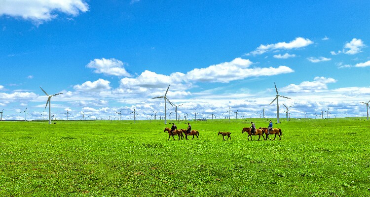 Wind Power Plant in Huitengxile Grassland