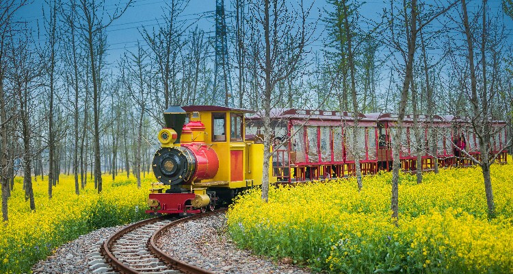 Sightseeing Train at Moerdaoga National Forest Park